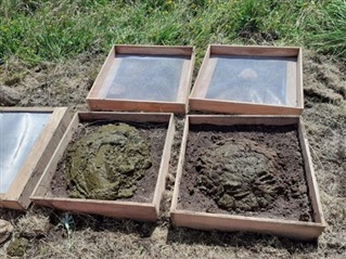 Two shaoolw wooden boxes with mesh lids. The boxes contain soil and a pile of animal poo.