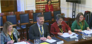 Members of the Northern Ireland Environment Link giving evidence to the Committee for Agriculture, Environment and Rural Affairs