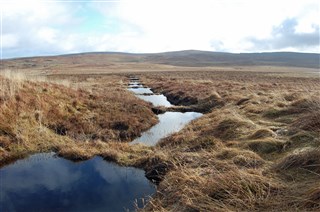 Dungonnell Peat Dams by Henry McLaughlin NIW