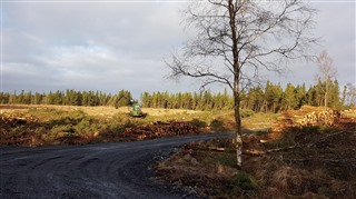 Tullychurry Forestry removal