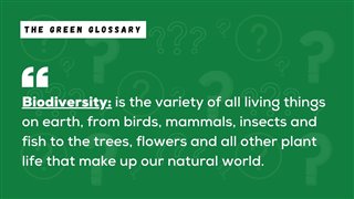 Biodiversity Explanation