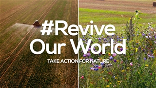 Revive Our World
