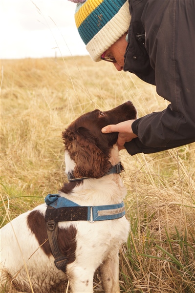 A dog handler cups the chin of one of the stoat detection dogs, Riggs