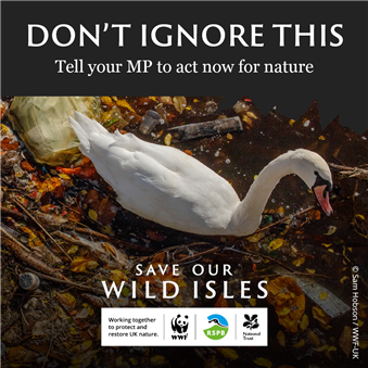 A swan swims amongst clogged up piles of litter and plastic underneath the text "Don't ignore this: tell your MP to act now for nature".