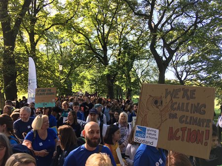 crowd gathering amongst trees at beginning of climate strike