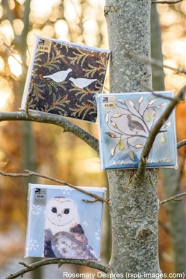 Christmas cards perched in a tree