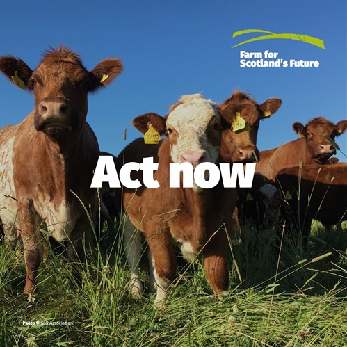 Close up of cows against a blue sky with the words Act Now and a logo top right saying Farm for Scotland's Future