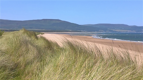 Grassy dunes, beach and sea