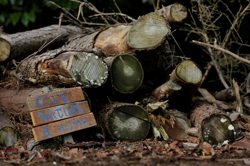 wood pile with small sign in front which reads 'give nature a home'