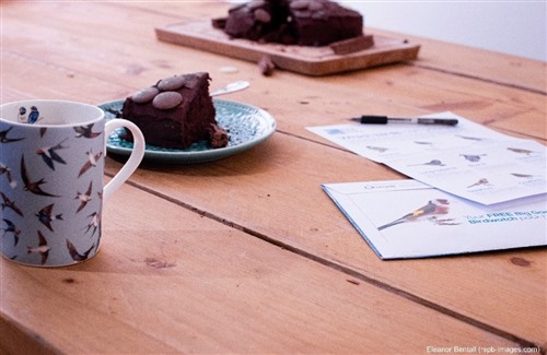 a mug, some cake, and a big garden birdwatch counting sheet sit on a wooden table