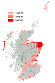 map of scotland showing corn bunting distribution