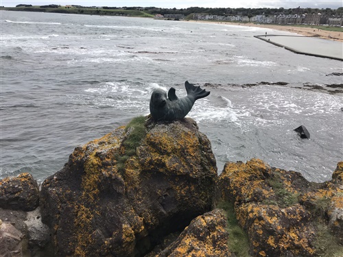 a statue of a seal