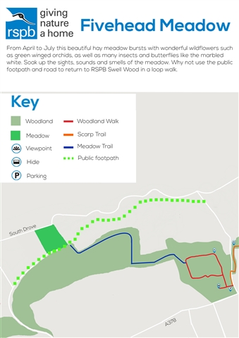 A map showing how to get to Fivehead Meadow from RSPB Swell Wood
