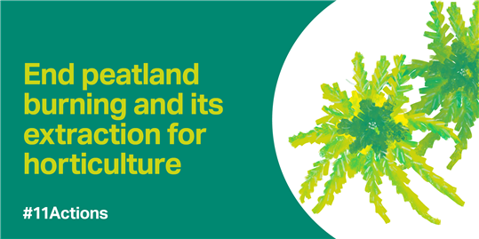 graphic which reads end peatland burning and its extraction for horticulture with image of moss on right side