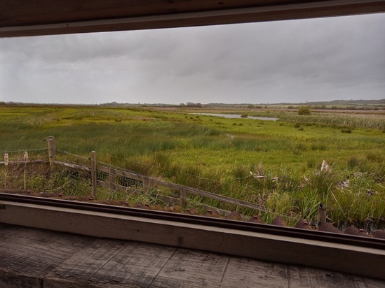 View from the hide.