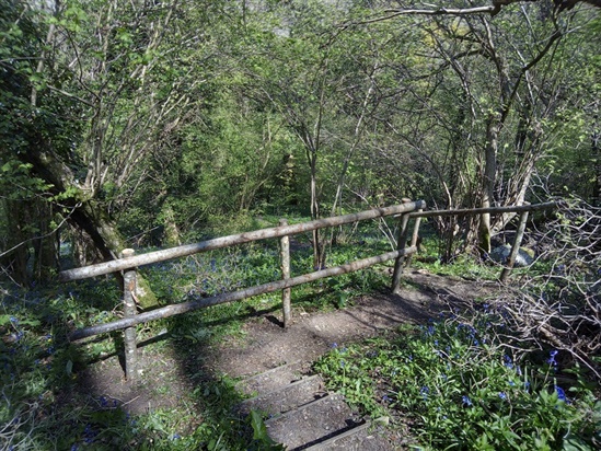 Picture of Scarp trail post and rail.