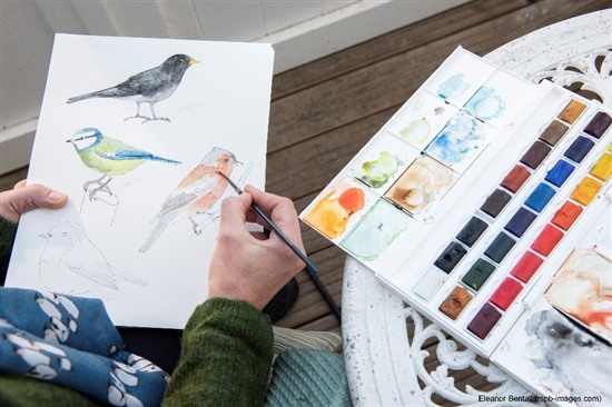 someone painting watercolours of a blackbird blue tit and chaffinch