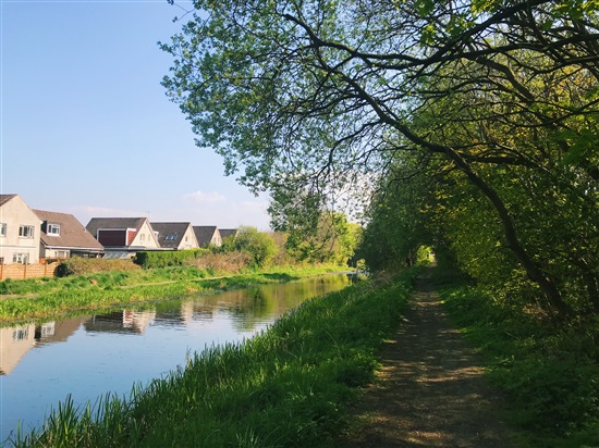 path by canalside with trees and some grasses. house rooves visible in background