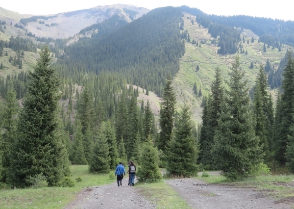 Two people walk towards forested mountain slopes.