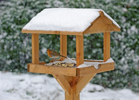 robin on a bird feeder table on a snowy day