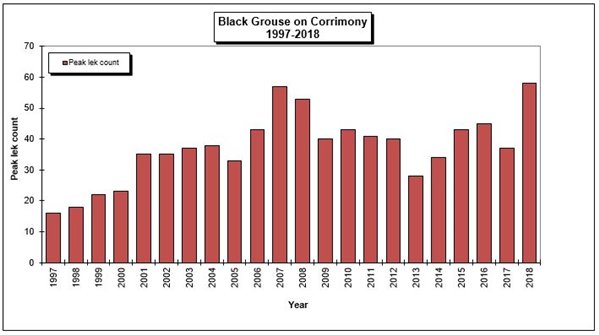 Black Grouse on Corrimony graph - 1997 to 2018