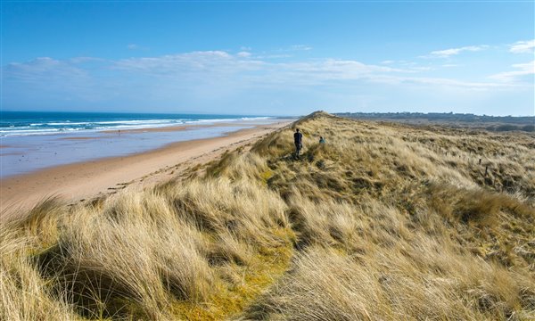 Person standing on dunes at coul links