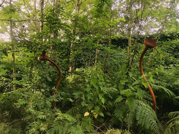 two bronze pipes emerging amongst trees
