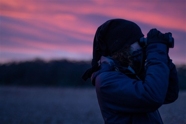 person looks through binoculars at sunset