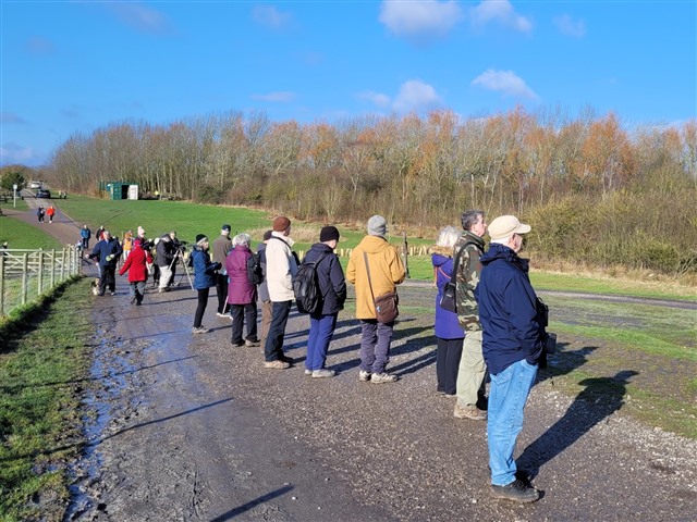 RSPB Nottingham Local Group stand in a line looking for Waxwings from a path in a local park.