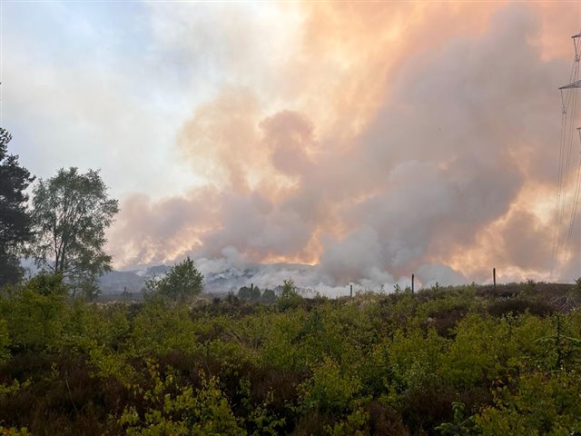A large cloud of smoke from a wildfire is rising from a landscape of trees and moorland.