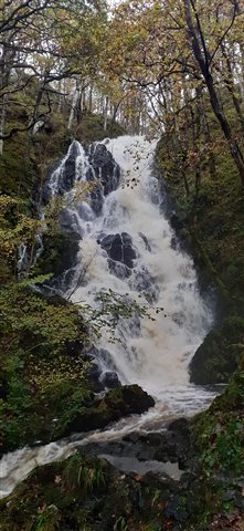 A roaring waterfall tumbles down through a dense autumn woodland.