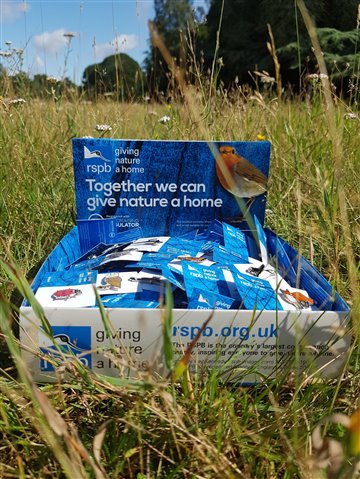 A box of RSPB pin badges in a field. Each is a different species and comes on a unique backing card.