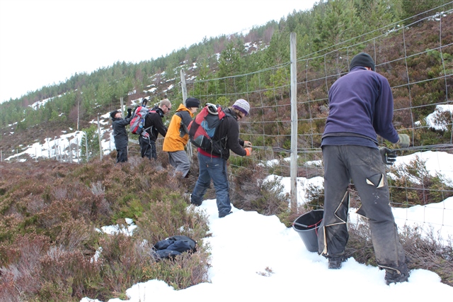 A group of people dismantling a tall wire fence in a snowy landscape