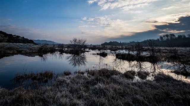  The wetlands of Insh Marshes are frames by trees on the right and hills on the left. There is a touch of frost on the vegetation.
