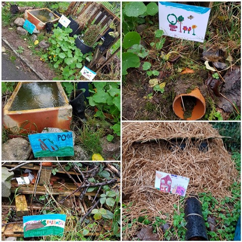 A collage of different wildlife areas created by the Eco Warriors, including a container pond, bug hotel and hedgehog house.