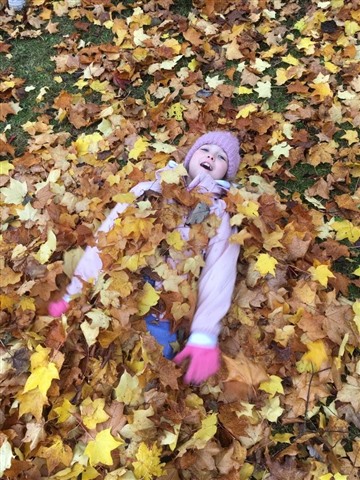 Eloise is lying down, almost completely covered in yellow and orange autumn leaves