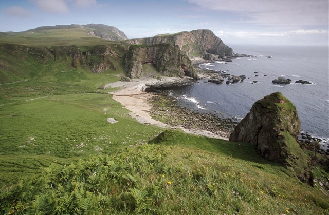  A view of the coast at RSPB Scotland's The Oa nature reserve. Grassy fields run into a rocky beach where the land meets the sea. There are high cliffs in some sections.