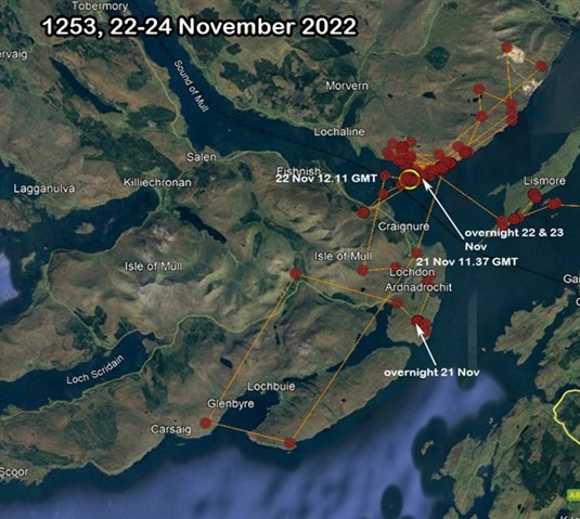 A map of Mull and the Morvern Peninsula, showing the white-tailed eagle chick's flights.