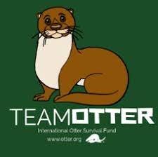 Team Otter logo