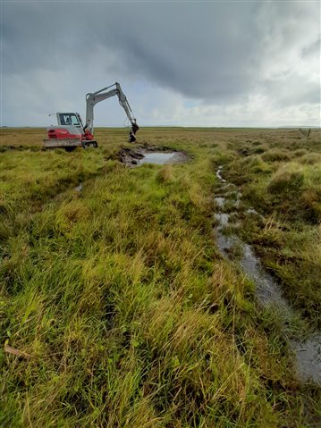 A large digger is creating pools for wading birds on Onziebust nature reserve.