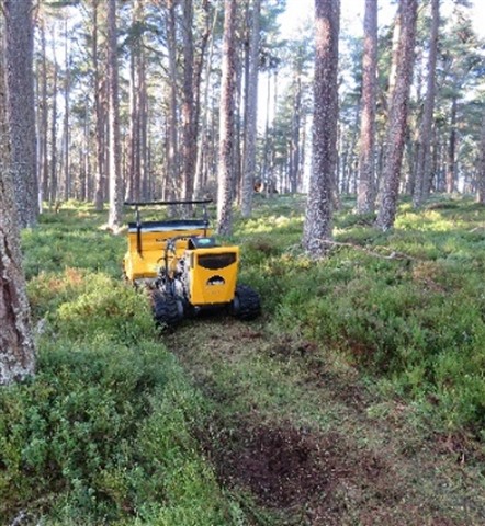 A large yellow tractor-like machine cutting vegetation in the forest.