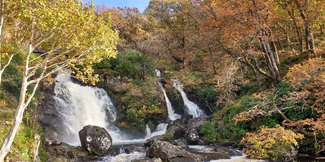 Several waterfalls flow over rocks, surrounded by trees in their autumn colours.