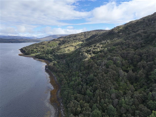 An aerial view of RSPB Scotland's Glencripesdale nature reserve. There are hills covered in dense woodland, descending towards Loch Sunart.
