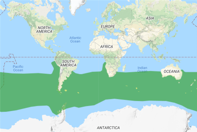 Black-browed albatross natural range across southern Atlantic, Pacific and Indian oceans – BirdLife International