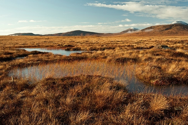 Peatland bog Flow Country
