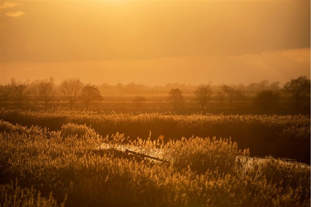 Sunset at RSPB Ouse Washes - Ben Andrew (rspb-images.com)