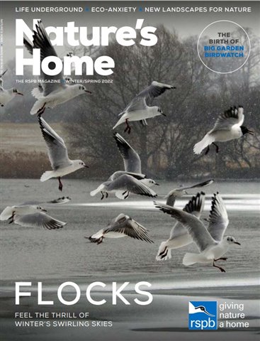 A sneak peek at the cover of Nature’s Home Winter/Spring 2022 magazine.