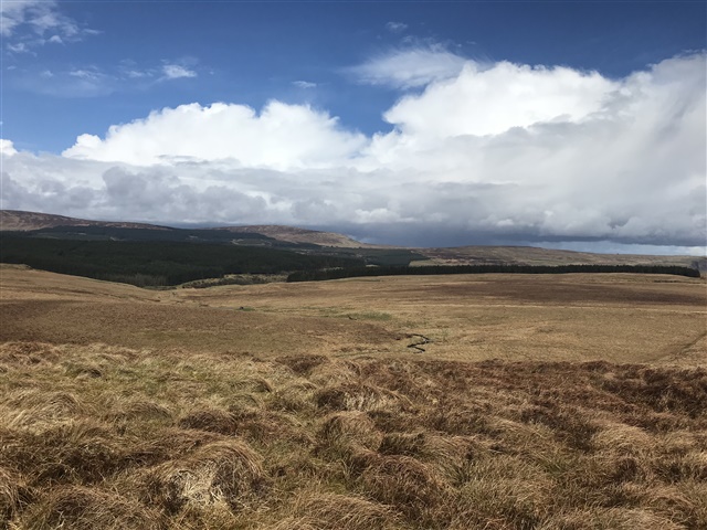 Garron Plateau views by Katy Bell