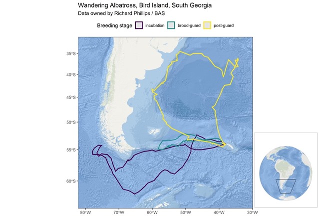 wandering albatross tracking 