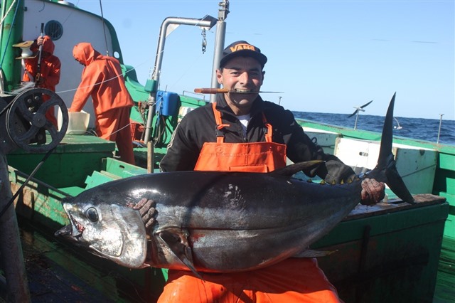 fishermen with tuna